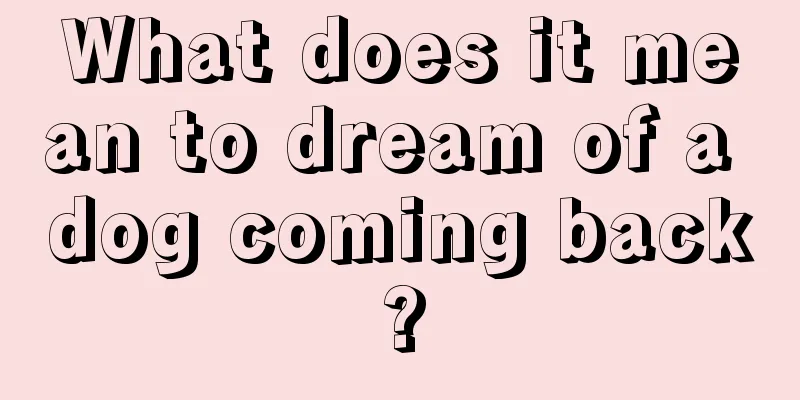 What does it mean to dream of a dog coming back?