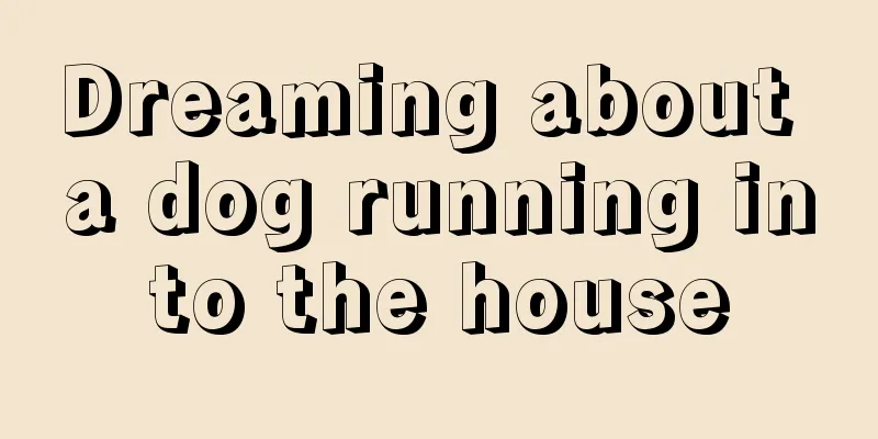 Dreaming about a dog running into the house