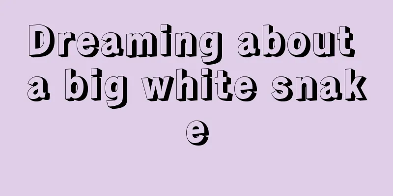 Dreaming about a big white snake