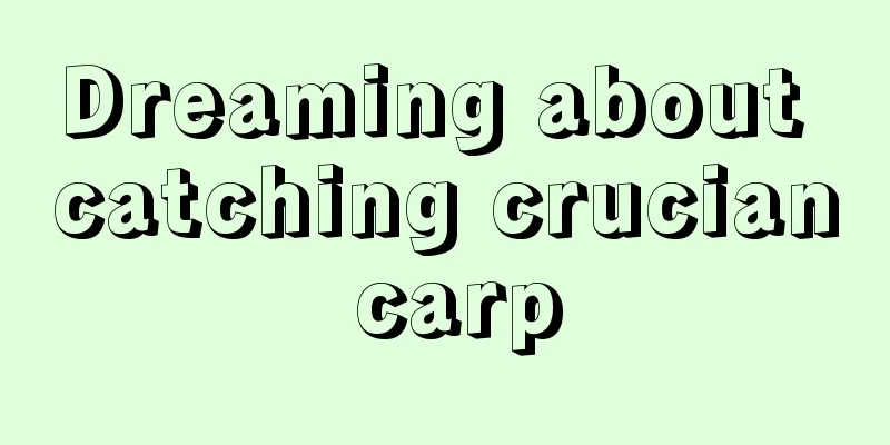 Dreaming about catching crucian carp