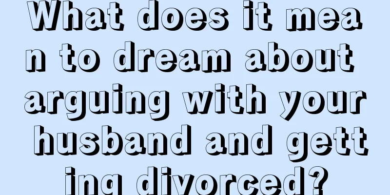 What does it mean to dream about arguing with your husband and getting divorced?