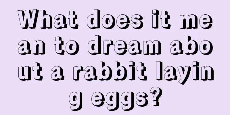 What does it mean to dream about a rabbit laying eggs?