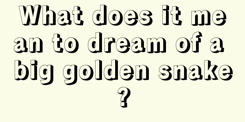 What does it mean to dream of a big golden snake?