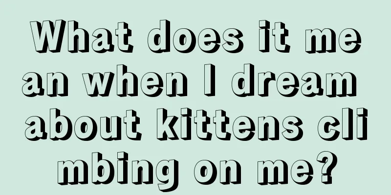 What does it mean when I dream about kittens climbing on me?