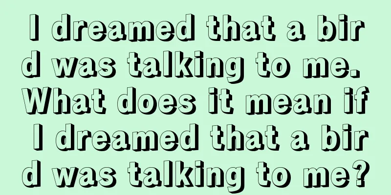 I dreamed that a bird was talking to me. What does it mean if I dreamed that a bird was talking to me?