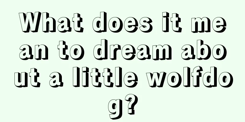 What does it mean to dream about a little wolfdog?