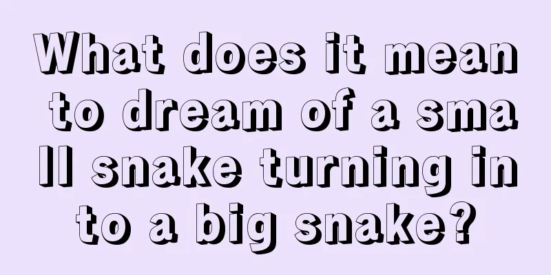 What does it mean to dream of a small snake turning into a big snake?