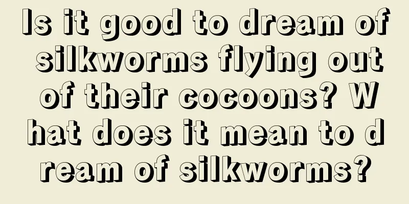 Is it good to dream of silkworms flying out of their cocoons? What does it mean to dream of silkworms?